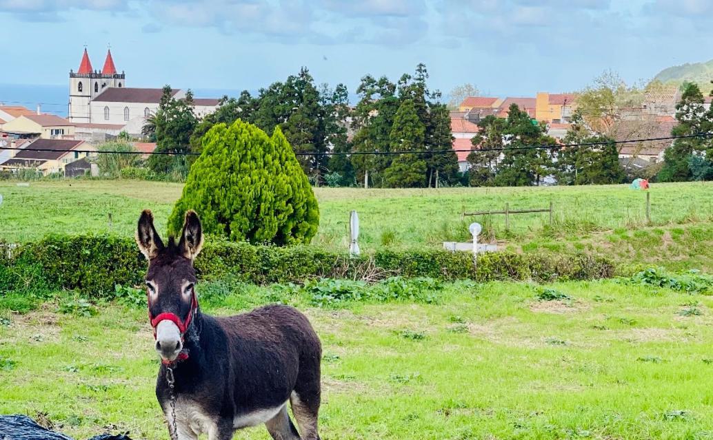 Quinta Do Avo Dimas - Rural Home - Sao Bras Porto Formoso Buitenkant foto
