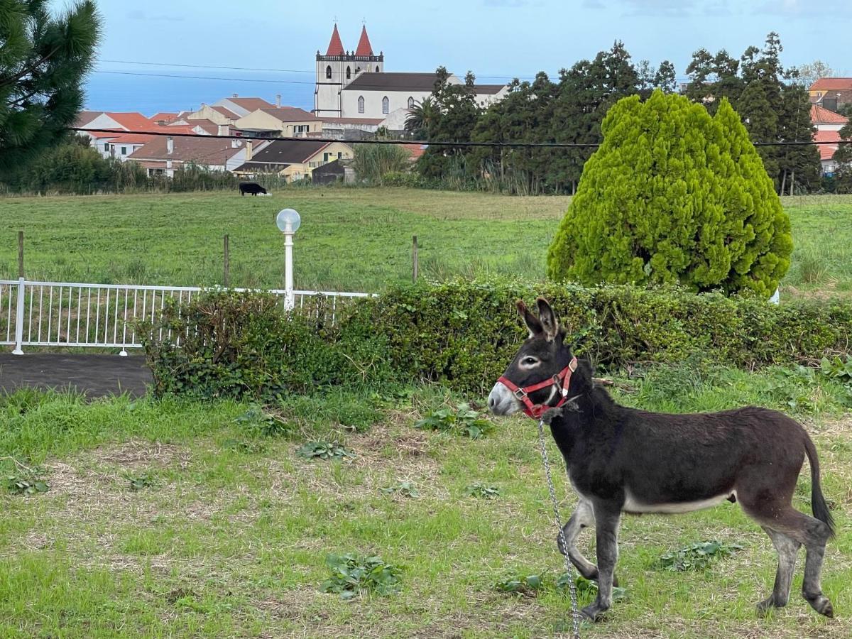 Quinta Do Avo Dimas - Rural Home - Sao Bras Porto Formoso Buitenkant foto